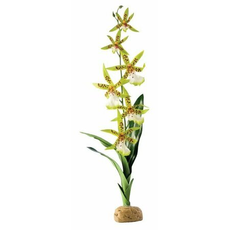 EXO TERRA Exo-Terra Plant, Spider Orchid C80